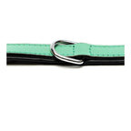 Collier Rembourré Vert Gloria pour Chien