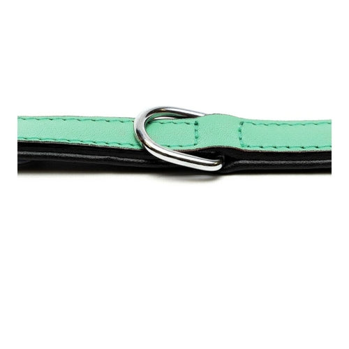 Collier Rembourré Vert Gloria pour Chien