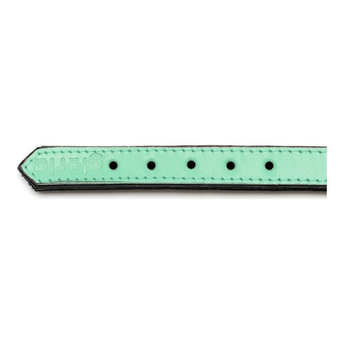 Collier Rembourré Vert Gloria pour Chien