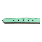 Collier Rembourré Vert Gloria pour Chien