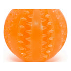 Jouet Dentaire Gloria TPR Multicolore (6 cm)