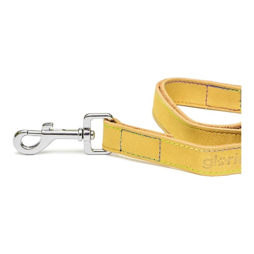 Laisse Gloria Oasis Jaune (1,5 x 100 cm)