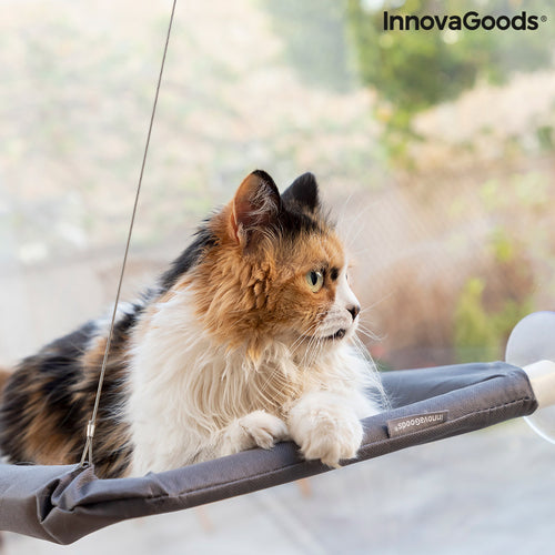 Hamac Suspendu Catlax InnovaGoods pour Chat