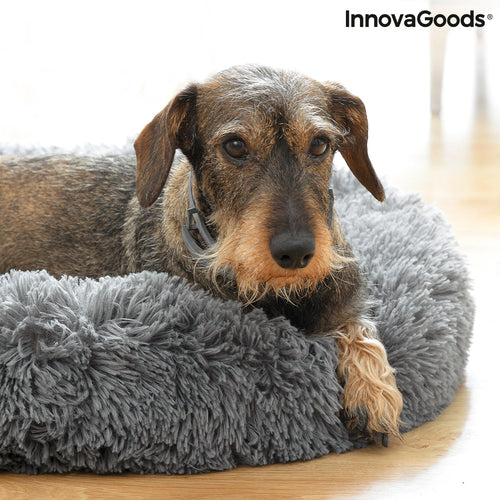 Panier Anti-Stress Bepess InnovaGoods pour Animal