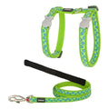 Harnais Red Dingo Turquoise Motif Étoiles pour Chat