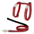 Harnais Red Dingo Rouge Motif Étoiles pour Chat
