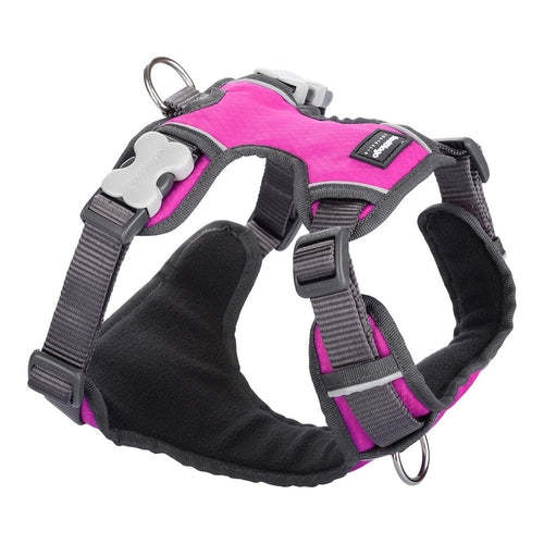 Harnais Rembourré Fuchsia Red Dingo Taille M