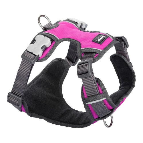 Harnais Rembourré Fuchsia Red Dingo Taille M