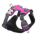 Harnais Rembourré Fuchsia Red Dingo Taille M