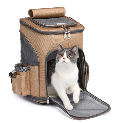 Sac à Dos de Transport Grande Capacité pour Animal