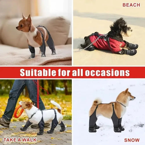 Chaussures Suspendues Imperméables pour Chien