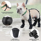 Chaussures Imperméables Ajustables pour Chien