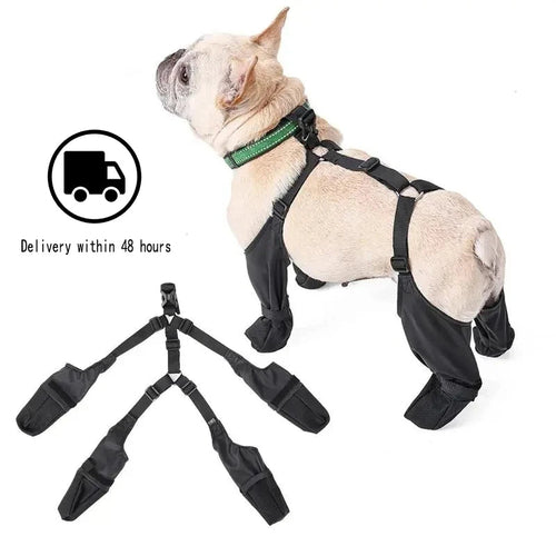 Chaussures Imperméables Ajustables pour Chien