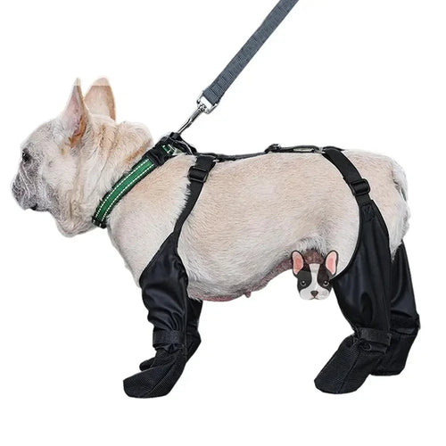 Chaussures Imperméables Ajustables pour Chien