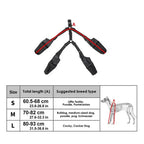 Chaussures Imperméables Ajustables pour Chien
