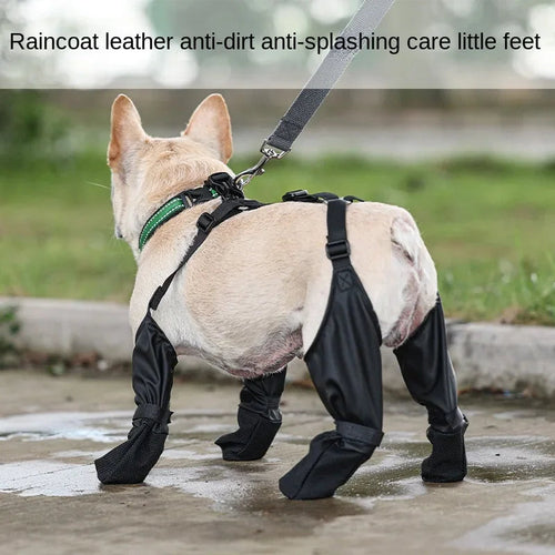 Chaussures Imperméables Ajustables pour Chien