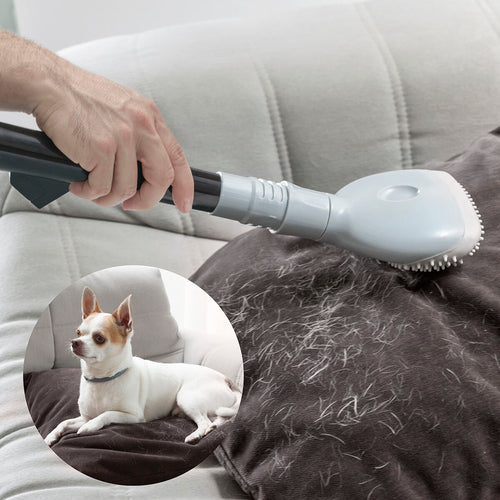 Brosse Aspiratrice Smoovah InnovaGoods
