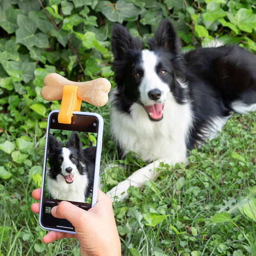 Pince Selfie Pefie InnovaGoods pour Animal