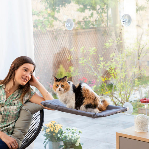 Hamac Suspendu Catlax InnovaGoods pour Chat