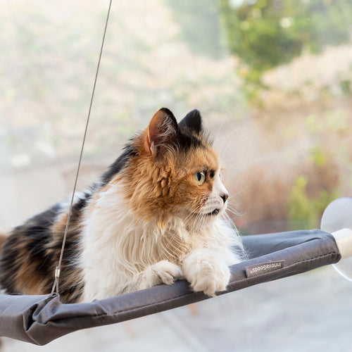 Hamac Suspendu Catlax InnovaGoods pour Chat