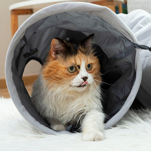 Tunnel Pliable Funnyl InnovaGoods pour Chat