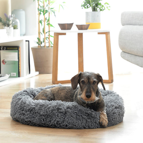 Panier Anti-Stress Bepess InnovaGoods pour Animal