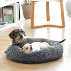 Panier Anti-Stress Bepess InnovaGoods pour Animal
