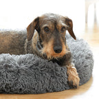Panier Anti-Stress Bepess InnovaGoods pour Animal
