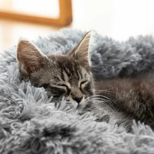 Panier Anti-Stress Bepess InnovaGoods pour Animal