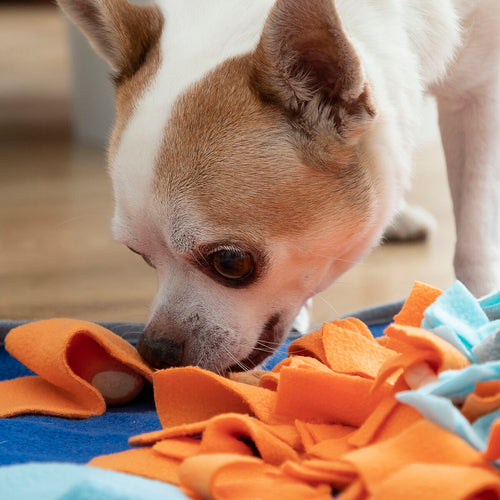 Tapis de Fouille Fooland InnovaGoods pour Animal