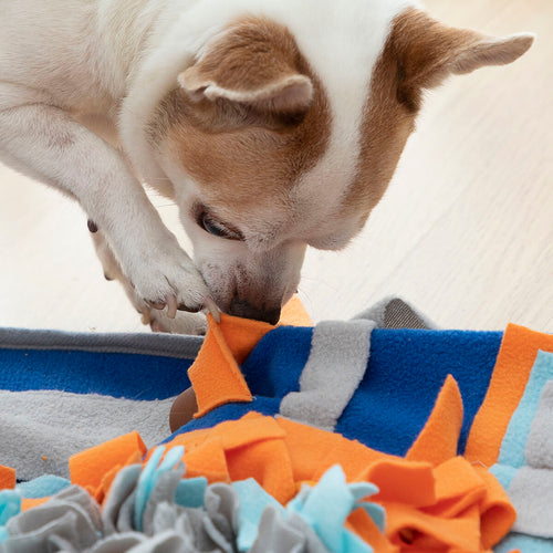 Tapis de Fouille Fooland InnovaGoods pour Animal