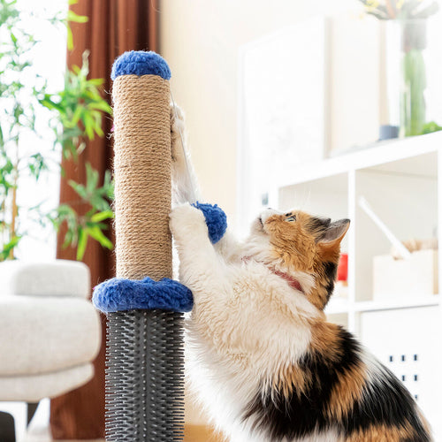 Griffoir 2-en-1 avec Boule Miausage InnovaGoods pour Chat