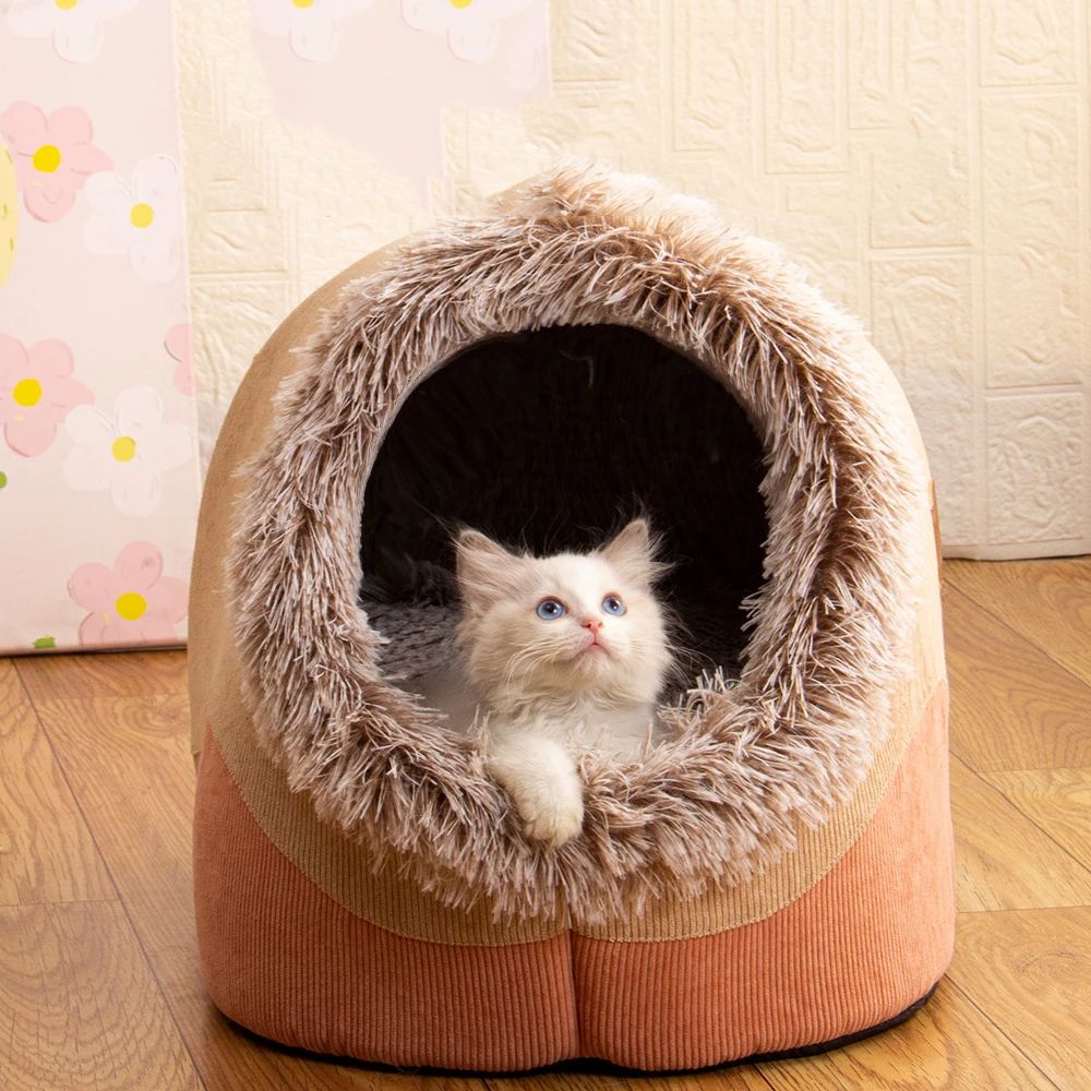 Tapis et Couvertures pour Chien