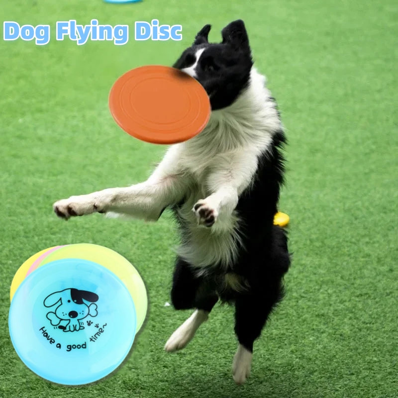 Balle pour Chien
